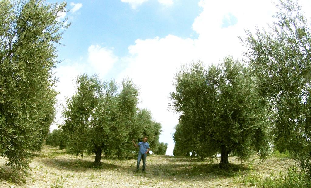 Aia Di Lazzaro Agriturismo Casalbore 외부 사진