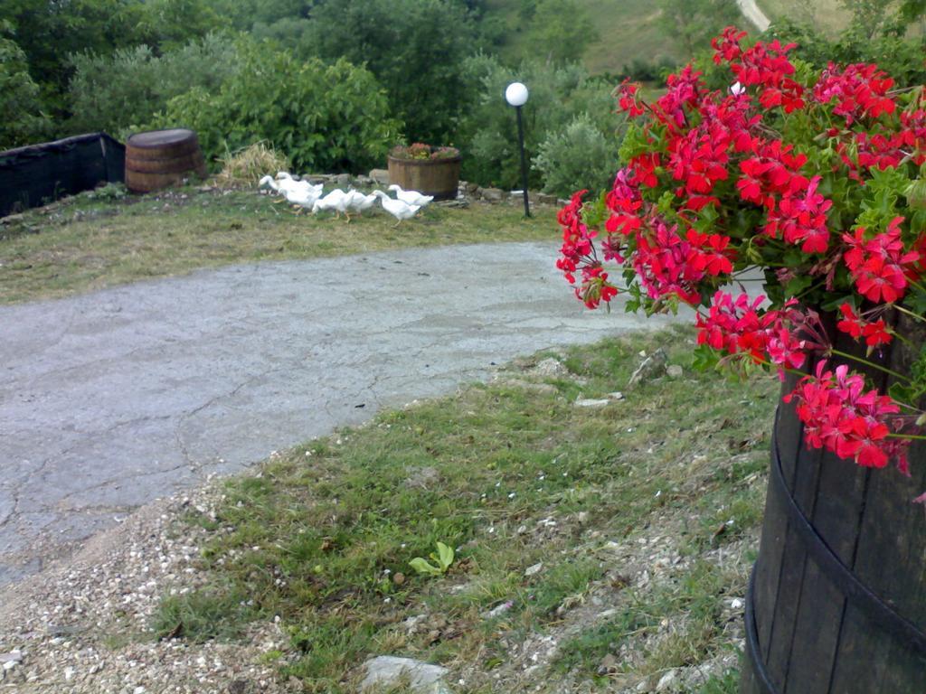 Aia Di Lazzaro Agriturismo Casalbore 외부 사진