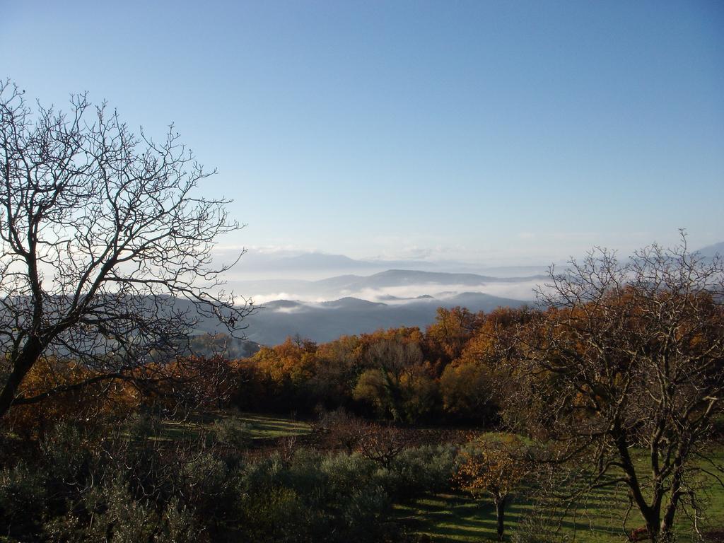Aia Di Lazzaro Agriturismo Casalbore 외부 사진
